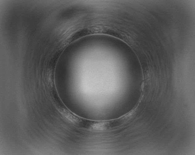 X0000052630178200507011329