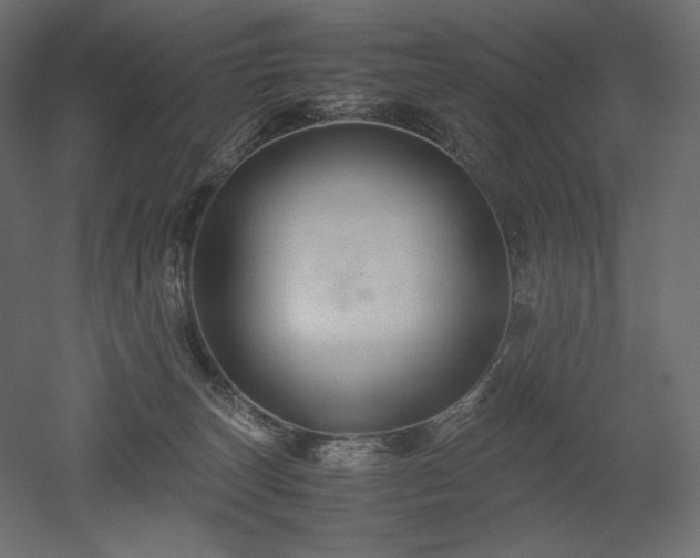 X0000052630179200507011329