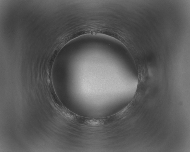 X0000052630187200507011330