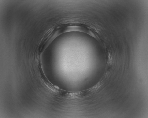 X0000052630188200507011330