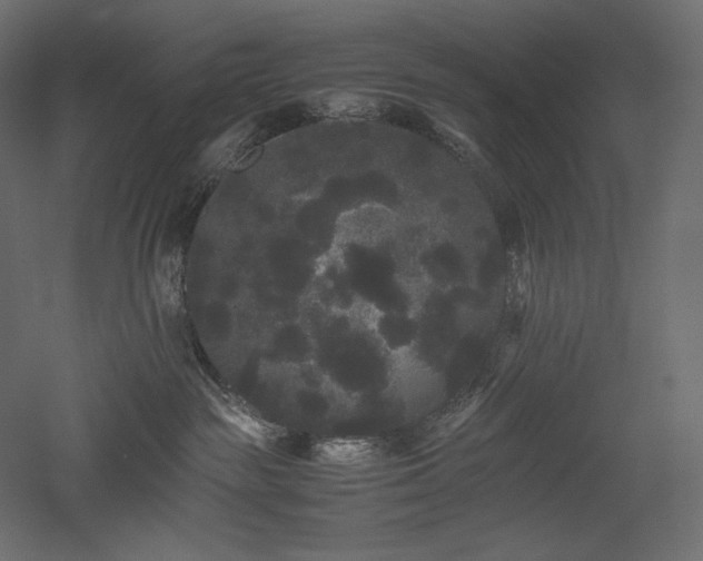 X0000052630189200507011330