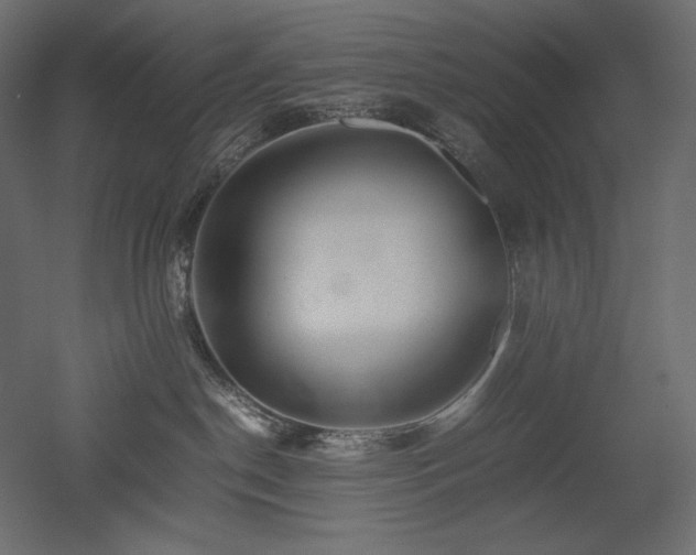 X0000052630190200507011330