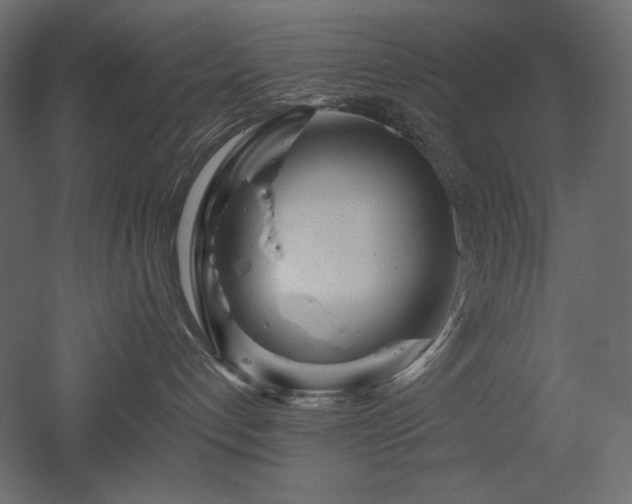 X0000052630192200507011330