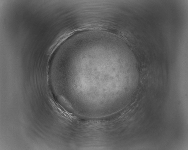 X0000052630194200507011329