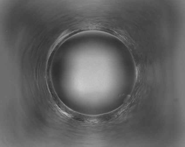 X0000052630195200507011329