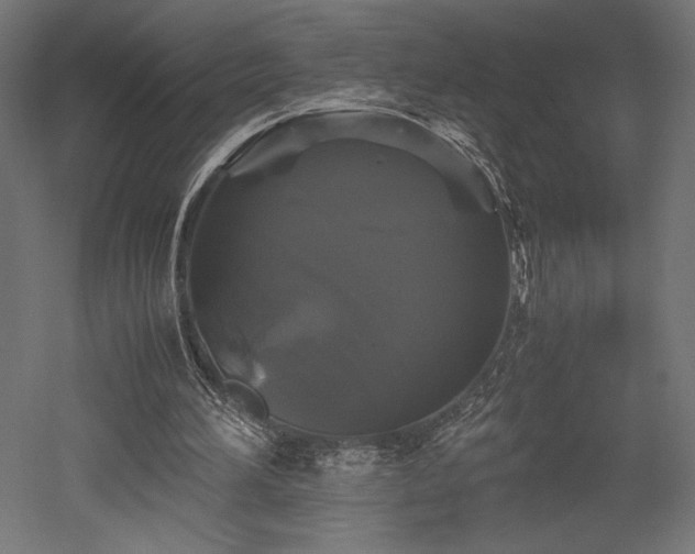 X0000052630196200507011329