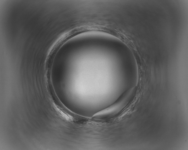 X0000052630197200507011329