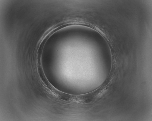 X0000052630199200507011329