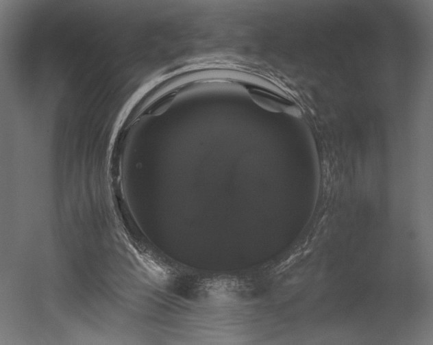 X0000052630200200507011329
