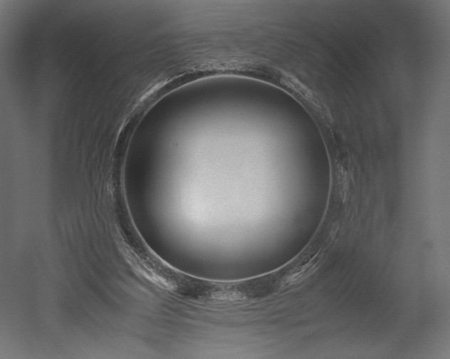 X0000052630203200507011329