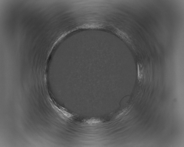 X0000052630204200507011329