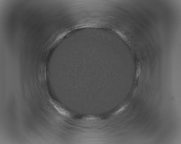 X0000052630205200507011329