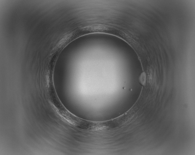 X0000052630206200507011329