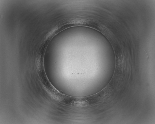X0000052630208200507011329