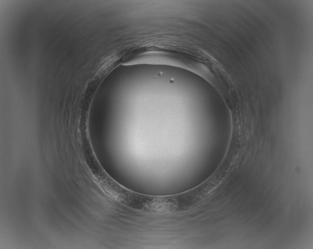 X0000052630209200507011329