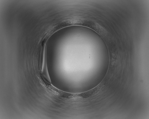 X0000052630210200507011329