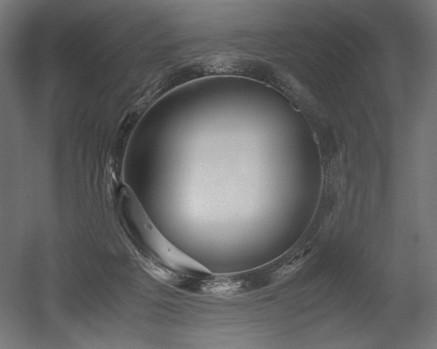 X0000052630217200507011328