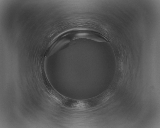 X0000052630219200507011328