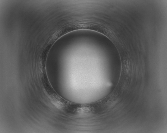 X0000052630220200507011328