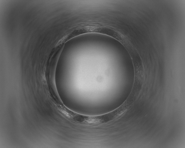 X0000052630221200507011328