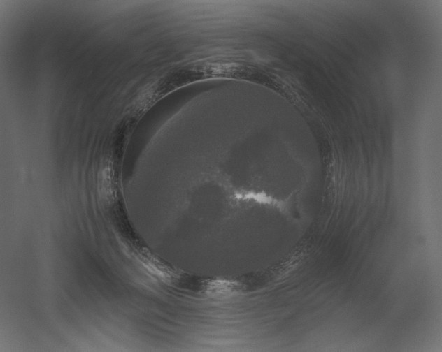 X0000052630222200507011328