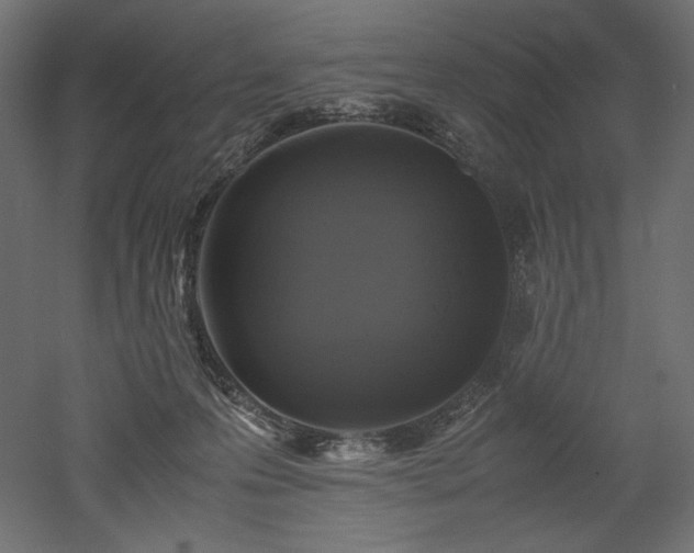 X0000052630223200507011328