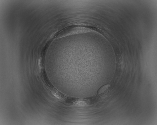 X0000052630224200507011328