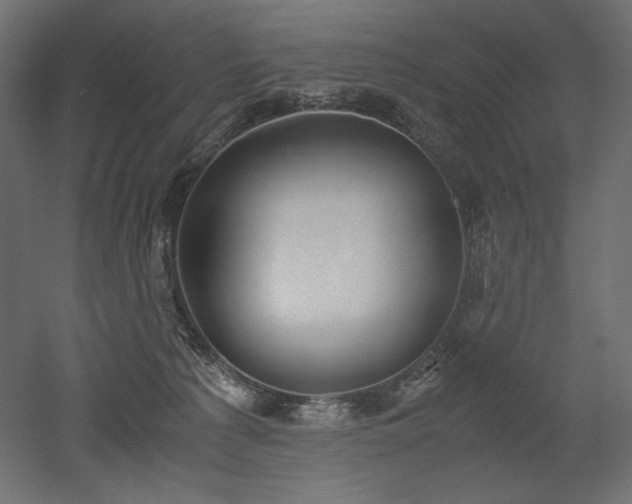 X0000052630225200507011328