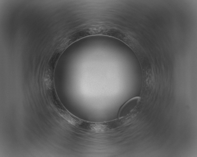 X0000052630226200507011328
