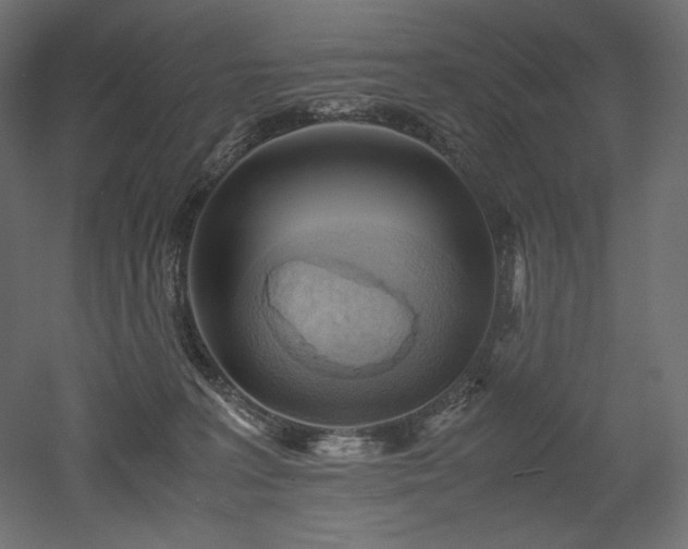 X0000052630227200507011328