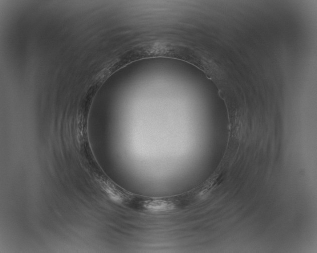 X0000052630230200507011328