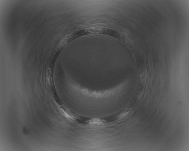 X0000052630231200507011328