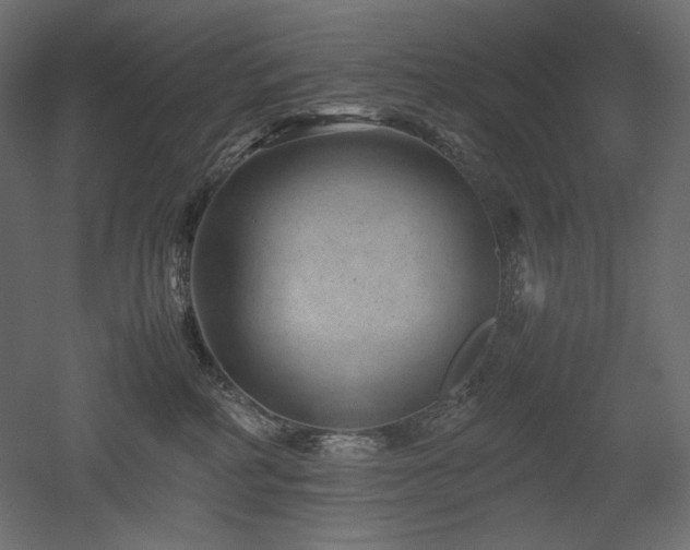 X0000052630234200507011328