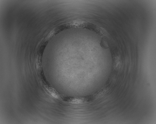 X0000052630236200507011328