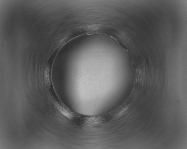 X0000052630238200507011328