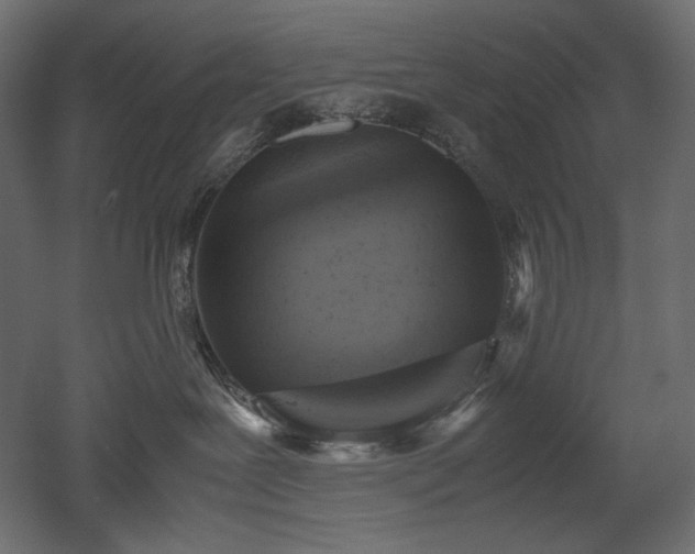 X0000052630239200507011328