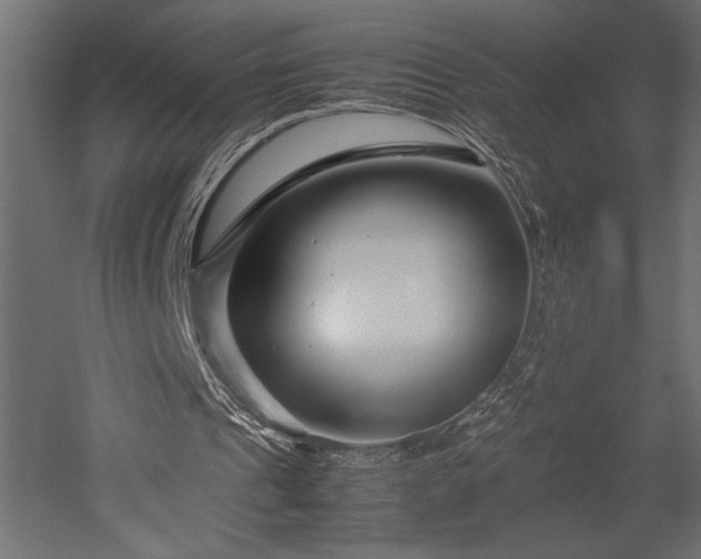 X0000052630241200507011327