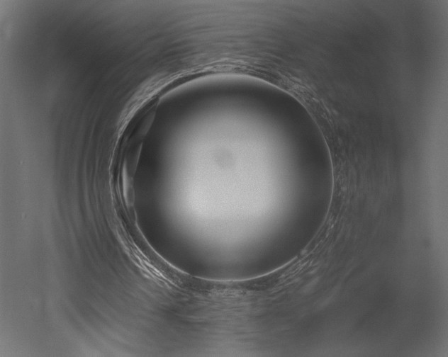 X0000052630242200507011327
