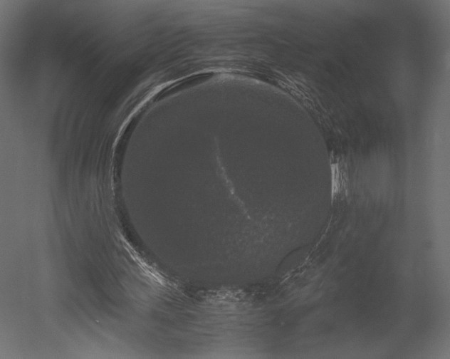 X0000052630243200507011327