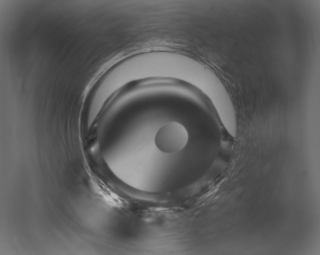 X0000052630244200507011327