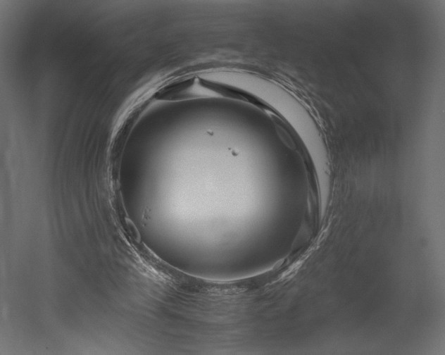 X0000052630245200507011327