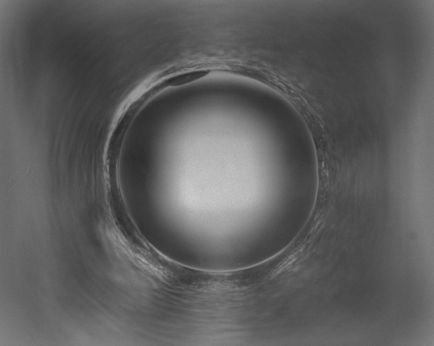 X0000052630246200507011327