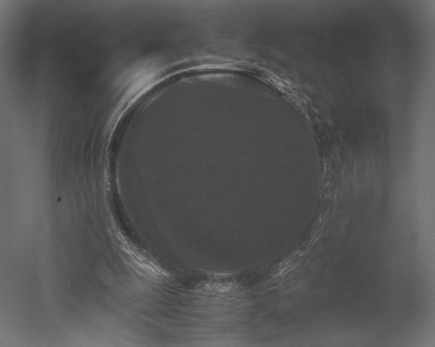 X0000052630247200507011327