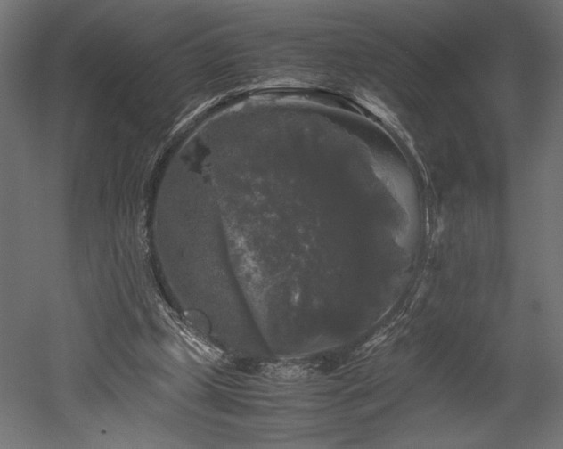 X0000052630249200507011327