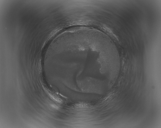 X0000052630250200507011327