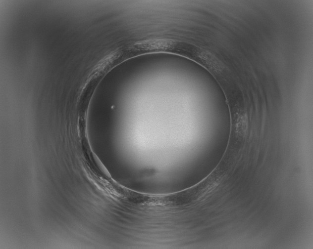 X0000052630254200507011327