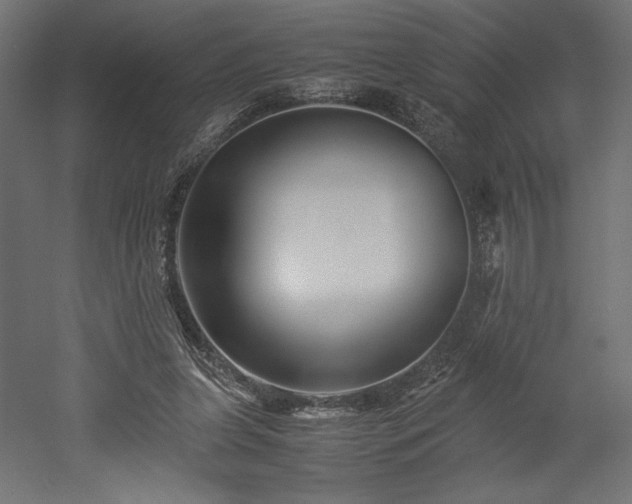 X0000052630255200507011327
