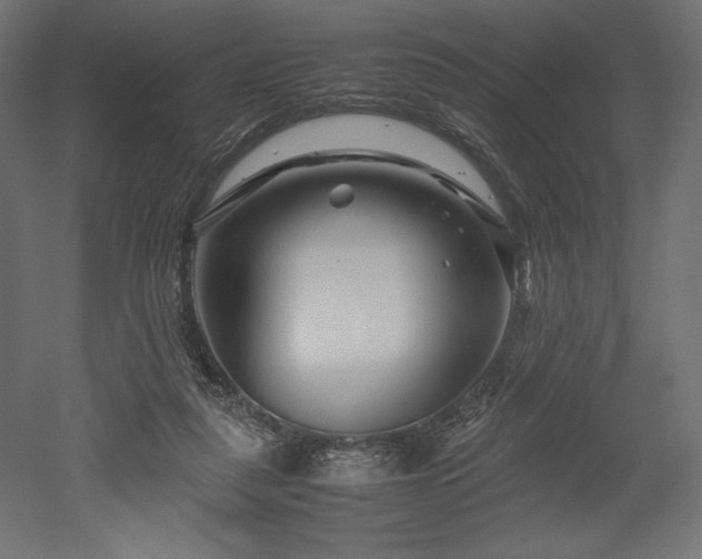 X0000052630259200507011328