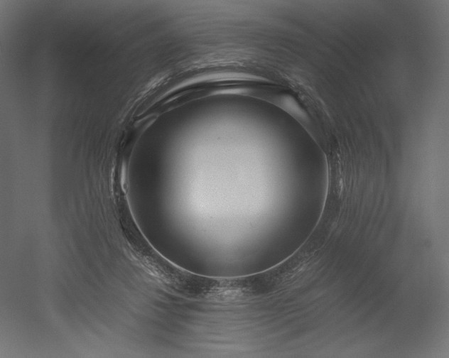X0000052630260200507011328