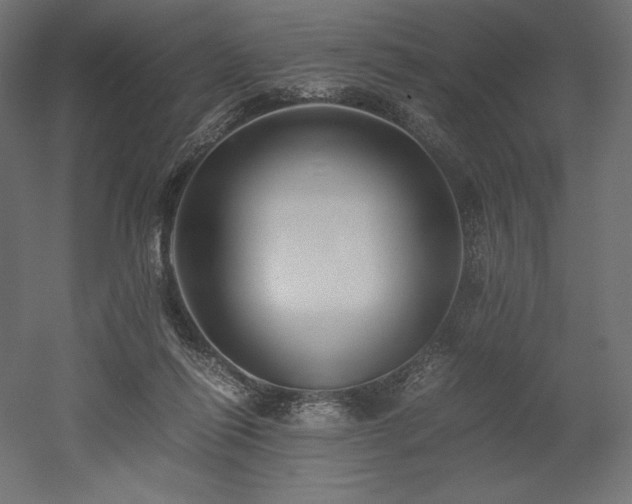 X0000052630262200507011328